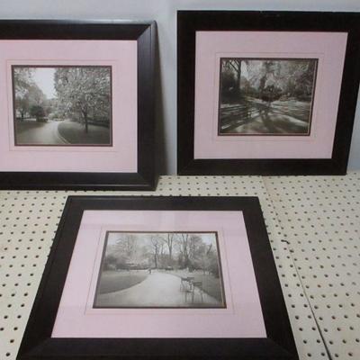 Lot 116 - Sondra Wompler Framed Photo Pictures
