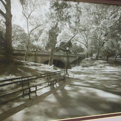 Lot 116 - Sondra Wompler Framed Photo Pictures