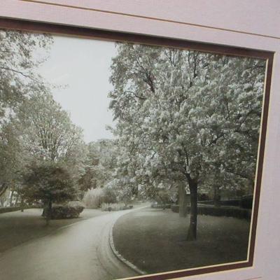 Lot 116 - Sondra Wompler Framed Photo Pictures