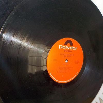 " Back to the roots" John Mayal.