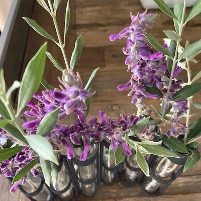 GLASS & METAL BUD VASE connected 