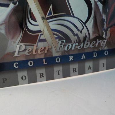 Donruss 97 Hockey hero's Peter Forsberg and John Vanbiesbrouck.