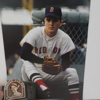 " Pro photo of Tony Conigliaro of the red sox".
