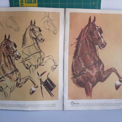 Vintage paint book   (LOT 156) 