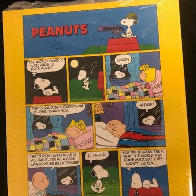 #60 New in rapper peanuts a golden celebration book