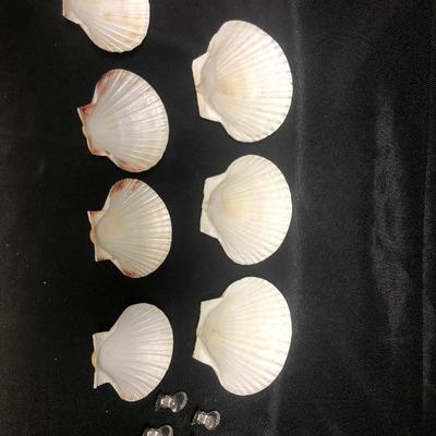 Set of clam shells 