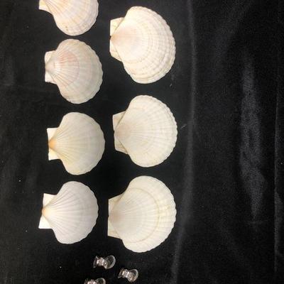 Set of clam shells 