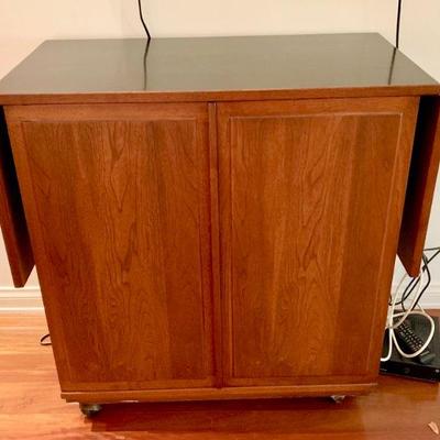 AEC 162 VINTAGE MCM  DANISH MODERN ROLLING BAR CART/CABINET/SERVER 
