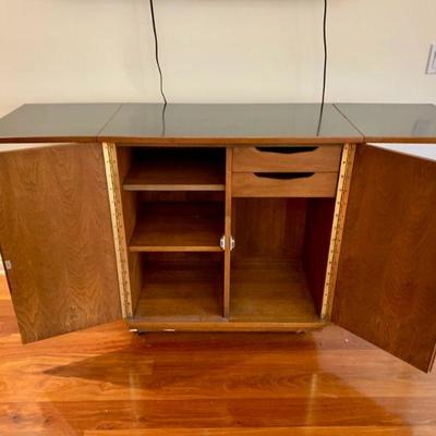 AEC 162 VINTAGE MCM  DANISH MODERN ROLLING BAR CART/CABINET/SERVER 