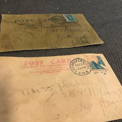 #306 2 LEATHER Cherry and Poppy Postcards