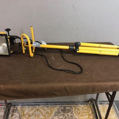 #339 Halogen Light 