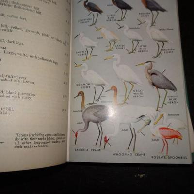 1979 A Field Guide to the Birds of Texas and Adjacent States (Peterson Field Guide Series)