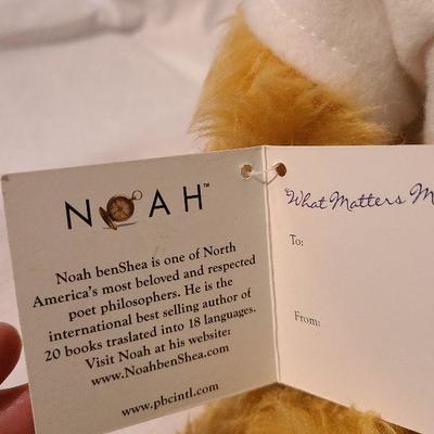 B9: Noah Bears Hope, Feel Better and Prayer Animatronics