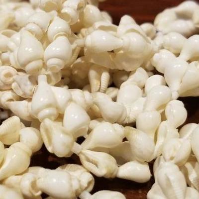 LOT #673: Assortment of Vintage Shell Necklaces and Earrings