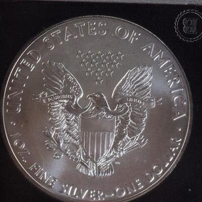 Slabed 2019 Brilliant Uncirculated  130