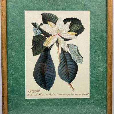 Framed Magnolia Print