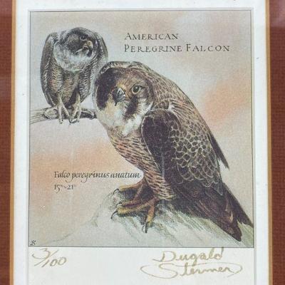 SIGNED DUGALD STERMER AMERICA PEREGRINE FALCON PRINT #3/100