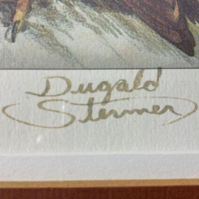 SIGNED DUGALD STERMER AMERICA PEREGRINE FALCON PRINT #3/100