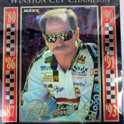 PAIR OF 8X10 DALE EARNHARDT RACE CARDS 1/80000