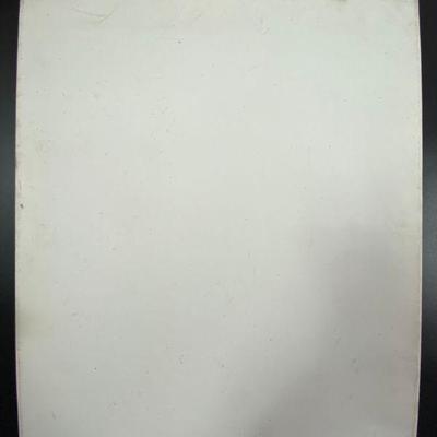 TWO (2) BLANK CANVASSES WHITE
