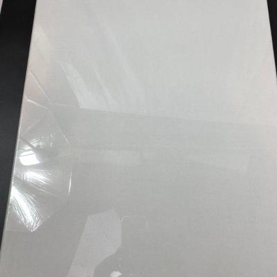 TWO (2) BLANK CANVASSES WHITE