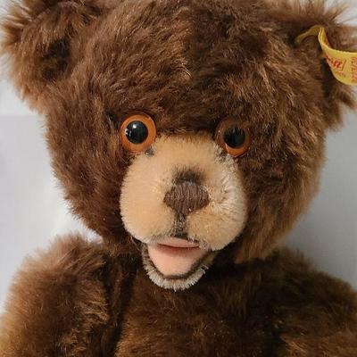 B50: Vintage Bruno Bear Steiff Bear