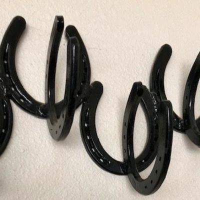 Horseshoe Rack