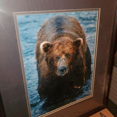 Lord Griz Framed Photo