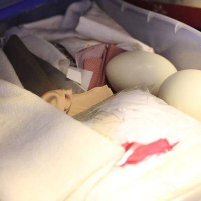 Lot 148 Fabric & Totes