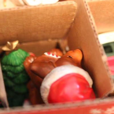 Lot 168 Christmas Lot (7)