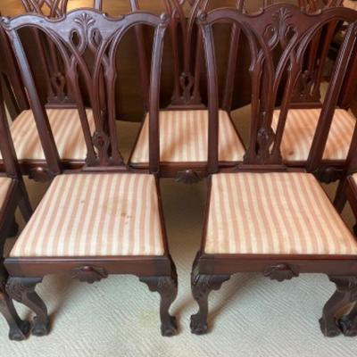 LOT # 555 7 Antique Philadelphia Chippendale Style Chairs