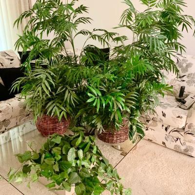 #17   GROUP OF 7 FAUX HOUSE PLANTS