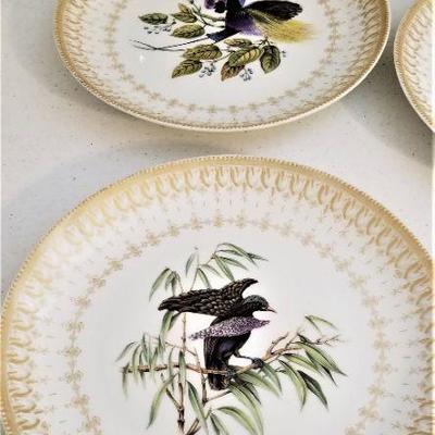 Lot #15  Lot of 6 Decorative Bird plates with Wall Hanger