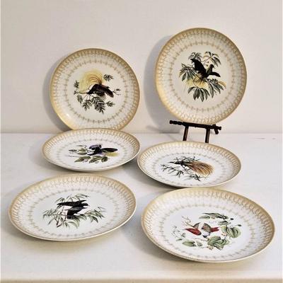 Lot #15  Lot of 6 Decorative Bird plates with Wall Hanger