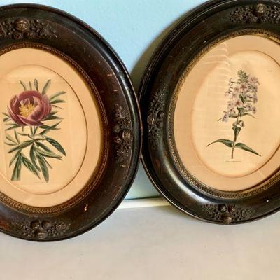 #113   PAIR OF VICTORIAN BOTANICAL PRINTS OVAL FRAMES