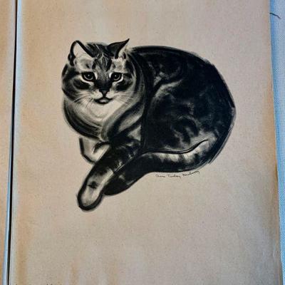 #132    CATS PORTFOLIO BY CLARE TURLAY NEWBERRY ILLUSTRATIONS