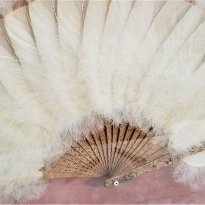 Lot #37  Vintage Ostrich-trimmed Fan in Shadow Box