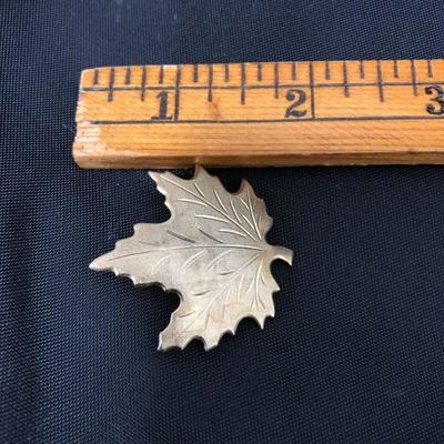 .172. Massive Unmarked Brooch Lot