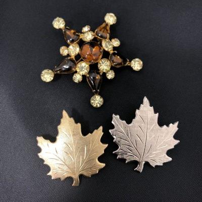 .172. Massive Unmarked Brooch Lot