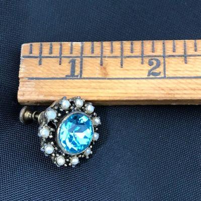 .176. Blue Clip Earrings