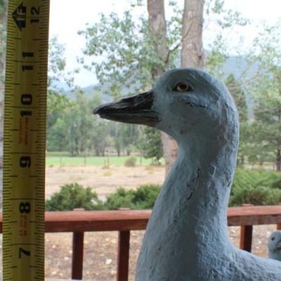 Lot #23: Mother Duck w/ (4) Ducklings Garden Deco Bundle