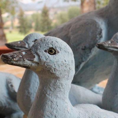 Lot #23: Mother Duck w/ (4) Ducklings Garden Deco Bundle