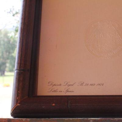 Lot #152: Vintage Made in Spain Colored Lithograph of Bird Framed w/ Glass 19" x 17" 