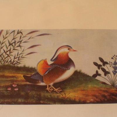 Lot #152: Vintage Made in Spain Colored Lithograph of Bird Framed w/ Glass 19" x 17" 