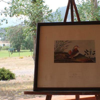 Lot #152: Vintage Made in Spain Colored Lithograph of Bird Framed w/ Glass 19" x 17" 