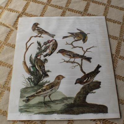 Lot #166: Vintage SEALED Paper Art Bird Figure Sheet Mid Century Modern