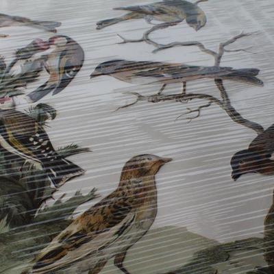 Lot #166: Vintage SEALED Paper Art Bird Figure Sheet Mid Century Modern