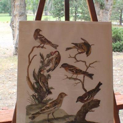 Lot #166: Vintage SEALED Paper Art Bird Figure Sheet Mid Century Modern