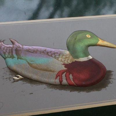 Lot #248: Vintage Dark Green Unused OTAGIRIâ„¢ Japan Address Book w/ Decorative Duck Theme