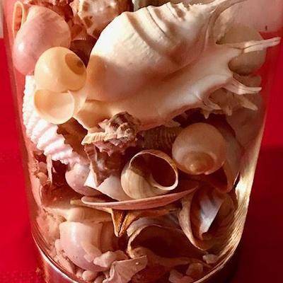 Glass Sea Shell Lamp